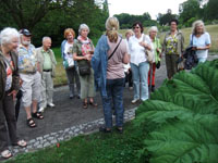 Fhrung fr die Ehrenamtlichen im Botanischen Garten am 08.07.2015