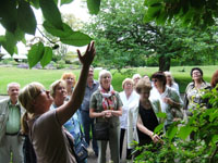 Fhrung fr die Ehrenamtlichen im Botanischen Garten am 08.07.2015