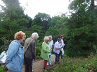 Fhrung fr die Ehrenamtlichen im Botanischen Garten am 08.07.2015