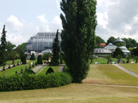 Fhrung fr die Ehrenamtlichen im Botanischen Garten am 08.07.2015