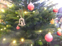Aufstellen und Schmcken des Weihnachtsbaums im Saal am 23. November 2015